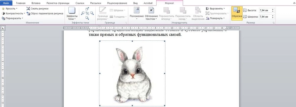 Как вставить картинку в фигуру. Повернуть рисунок в Ворде. Развернуть рисунок в Ворде. Перевернуть рисунок в Word. Повернуть картинку в Ворде.