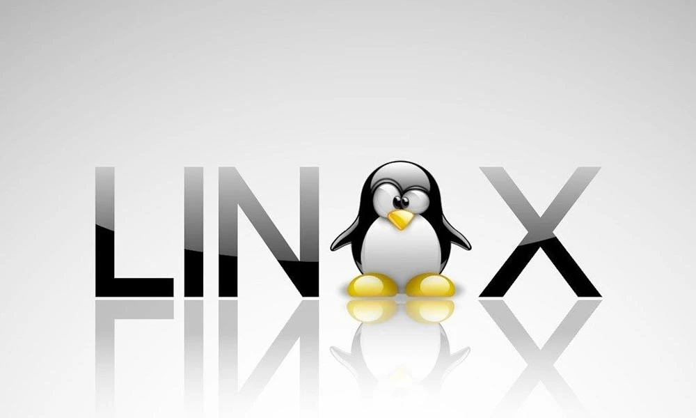 Лучшие дистрибутивы Linux 2020
